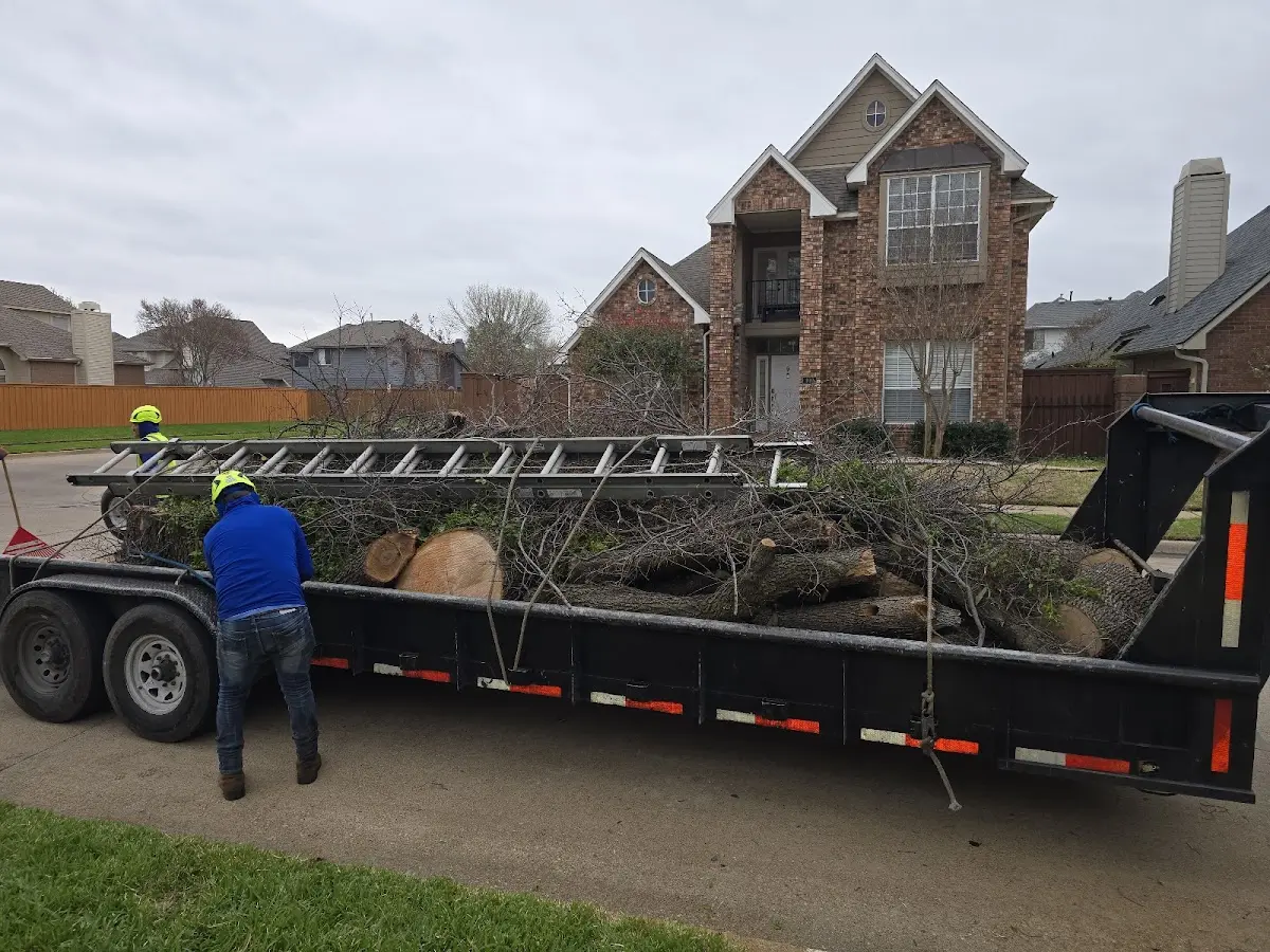 Expert Tree Pest Control with proper safety equipment in Raymond